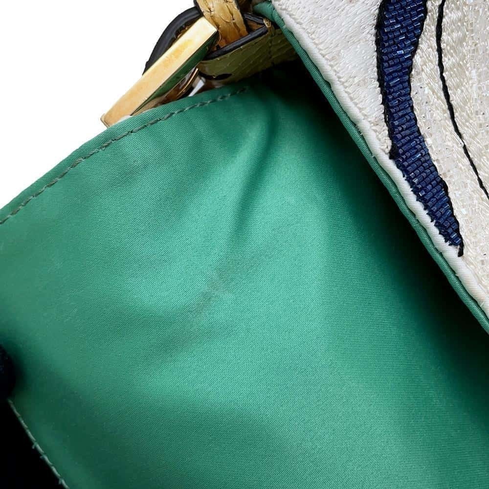 Fendi Antonio Lopez Embroidery Satin Python Shoul… - image 6